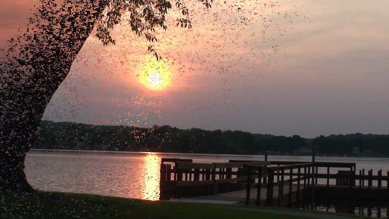 Guilford Lake State Park Ohio Sunrise YouTube