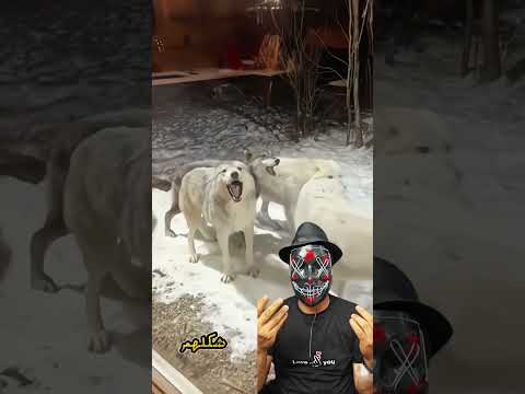 بتعرف تتخيل طيب وريني كدا