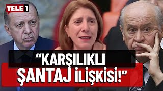 AKP-MHP İttifakına ne oluyor? Gazeteci Ayşe Çavdar: İş birliği yapılamaz!