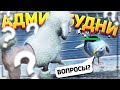 АДМИНСКИЕ БУДНИ и ЖИВОТНЫЕ В ГОРОДЕ в GTA ONLINE