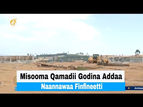Misooma Qamadii Godina Addaa Naannawaa Finfineetti