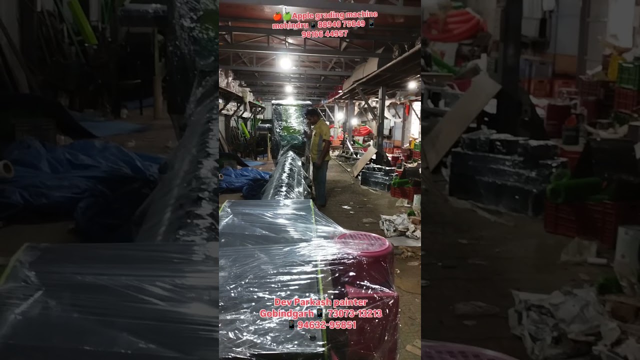 now Apple🍎🍏 grading machine mohindru📱88940 75049 📱98166 44957