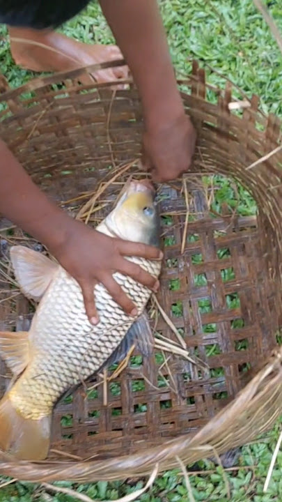 ‎DJ Alamgir 🎧 2024 📼 DJ Remix 🔊 DJ Akter 2024 🕺 DJAbinash 🎚️ 2024 #dj #dj #dj_king_omit #djskpro