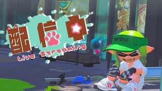 チコたんちゃんねるの配信のサムネイル画像