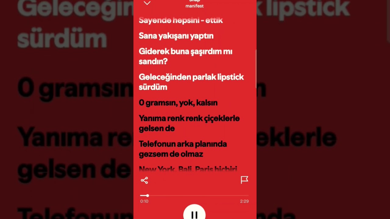 MANİFEST SNAP ŞARKI SÖZLERİ 🎵🎶 | 