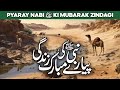 Nabi saw ki zindagi ke waqiat  hazrat muhammad ki zindagi  qasas ul anbiya  seerat un nabi