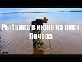 РЫБАЛКА В ИЮНЕ НА РЕКЕ ПЕЧОРА /  FISHING ON THE RIVER IN JUNE PECHORA