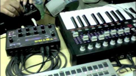 "Counting the stars" Gattobus & Millo Live Jam