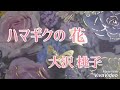 ハマギクの花🥀 大沢 桃子 / cover by Naomi  (カラオケ喫茶ナイルママ)