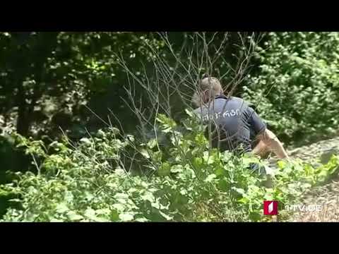 შატილის გზაზე ექსპერტ-კრიმინალისტები მუშაობენ