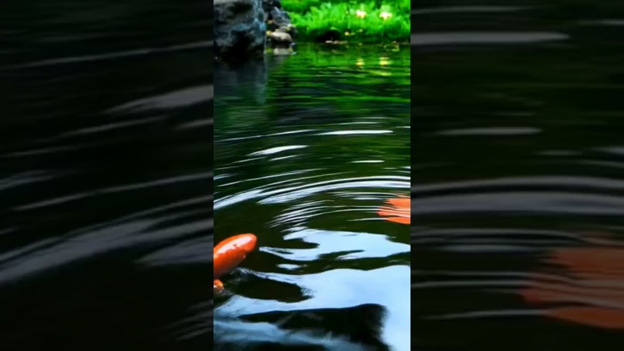 take a minute and calm down