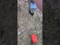 tagging out dangerous plug