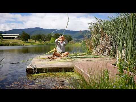 Cattail Harvesting With Sergei Boutenko | Foraging for Wild Edibles