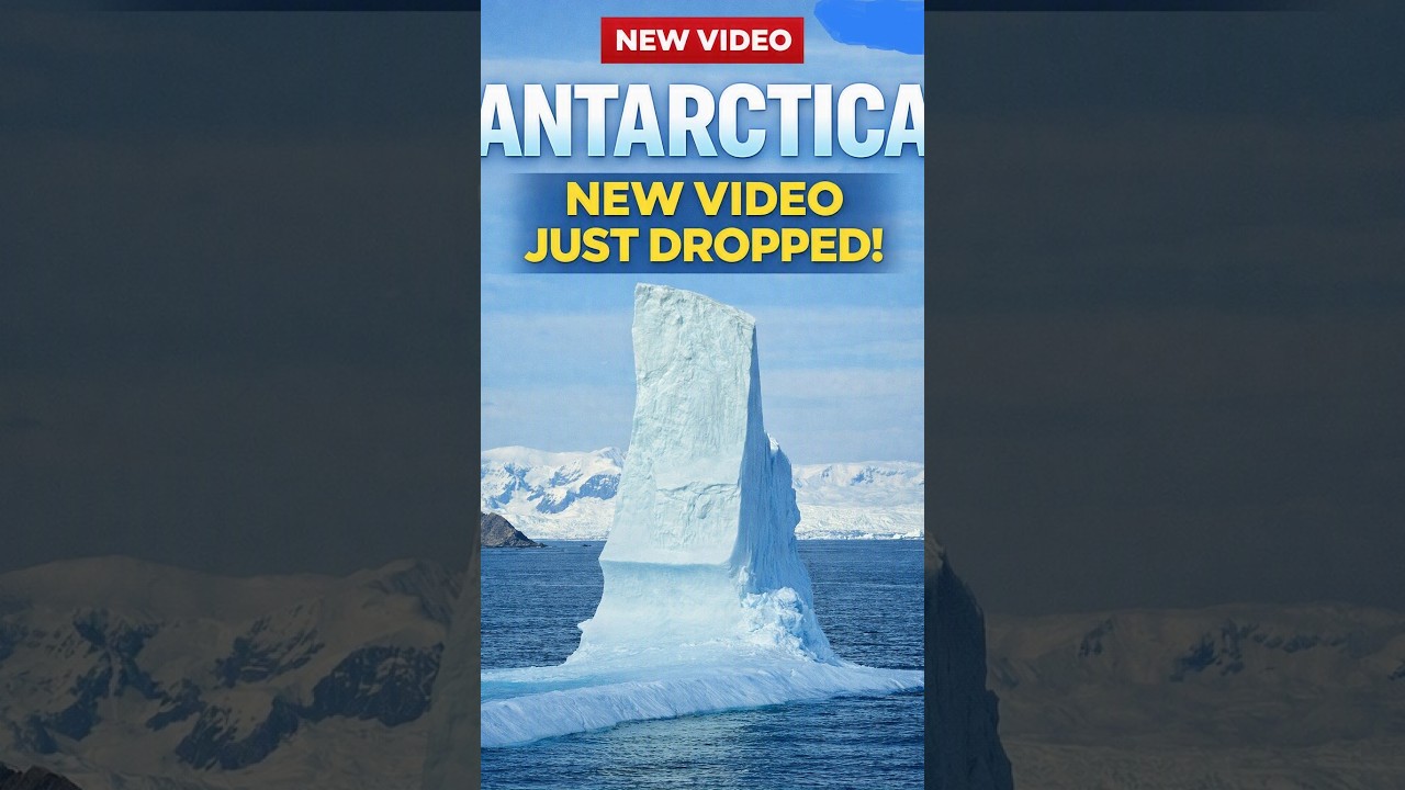What Is It Really Like to Cruise Antarctica?