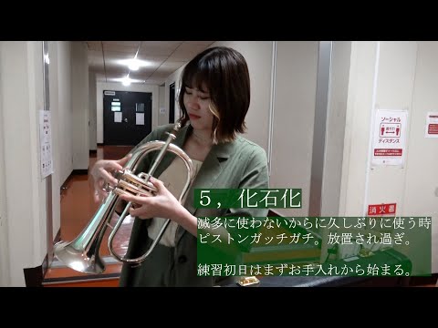 【吹奏楽】フリューゲルホルンの人にしか伝わらないあるある