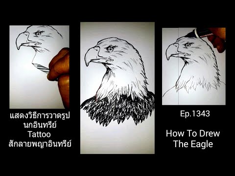 ( คลิปที่1343 )แสดงวิธีการวาดรูปนกอินทรีย์ Tattooสักลายพญาอินทรีย์ ( How To Drew The Eagle )