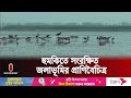 হাওরের গাছ কেটে নিয়ে যাচ্ছে এক শ্রেণির অসাধু মানুষ || Sunamganj | Haor | Independent TV