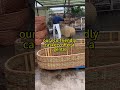 What Makes an Irish Green Funeral? Our Willow Coffins Deliver. #IrishGreenBurial #EcoFuneral