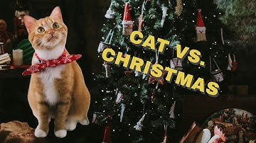Cats Destroying Christmas Trees 🎄– Funny Holiday Cat Moments | 2024 Cat Videos