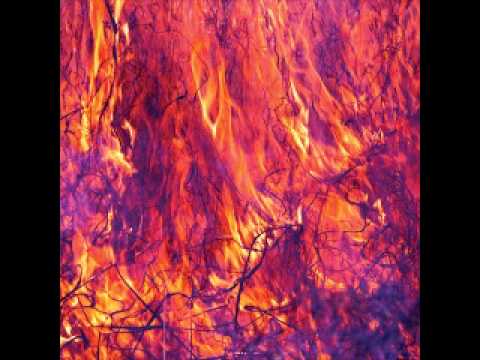 Korallreven - As Young As Yesterday (Panda Bear Remix)