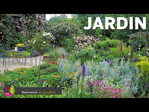 Vidéo: Qu'est-ce qu'un jardin qui donne - Comment faire pousser un jardin qui donne