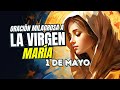 Oración Milagrosa a la Virgen María 1 Mayo