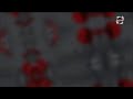 ظهوري علي قناه المحور حوار مهم جدا انا و عيوش ظهوري علي قناه المحور حوار مهم جدا انا و عيوش