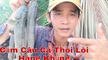 #13 Cắm Câu Cá Thòi Lòi Hàng Khủng | HLT