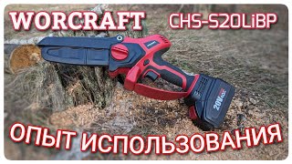 :    .    WORCRAFT CHS-S20LiBP