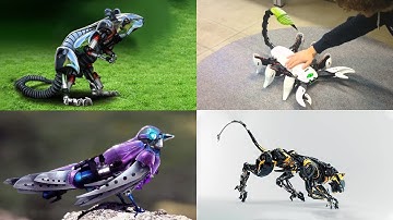 10 Amazing Robotic Animals You Haven