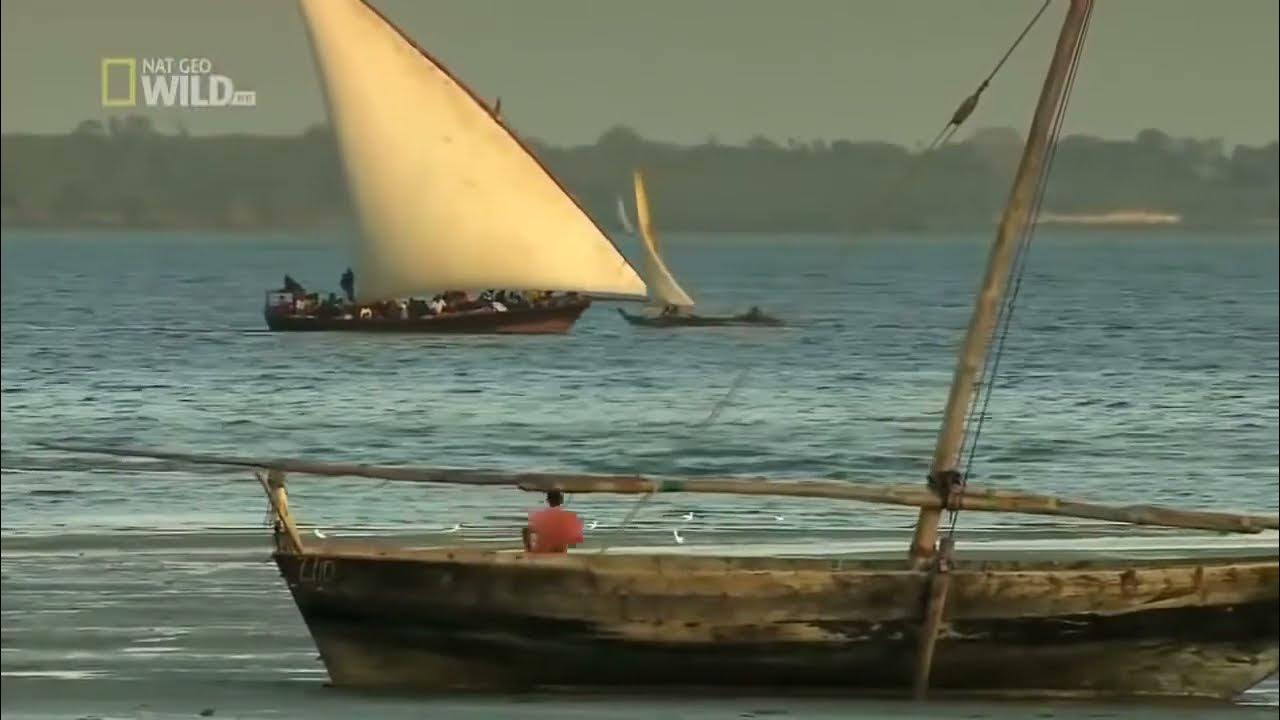 zanzibar is dangerous to travel