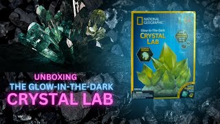 Science Experiment for Kids! | Unboxing the Crystal Lab