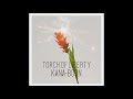 Kana-Boon Torch of Liberty