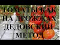 Овощи в теплице начнут плодоносить , как на дрожжах. Дедовский метод.