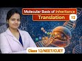 Translation (Protein Synthesis)