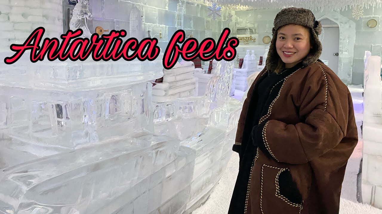 Ice Cafe Lounge | Ice Sculpture | 🇶🇦| Lexy