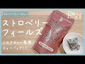 【ミルクティー用】TEAPONDさんのミルクティーバッグ『ストロベリーフィールズ』レビュー