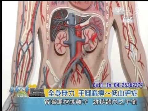 20130402《志為人醫守護愛》全身無力 手腳麻痺～低血鉀症