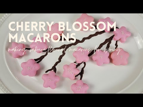 macaron  10個（各色説明文ご記載） Standard Macaron Collection