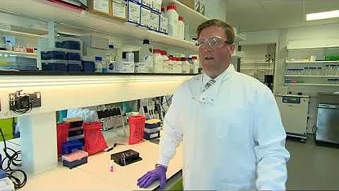 New antibiotic resistance test