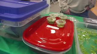 Long Island Reptile Expo (03/13/22)