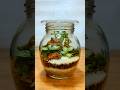 Mini Terrarium in a Jar | Easy Plant DIY