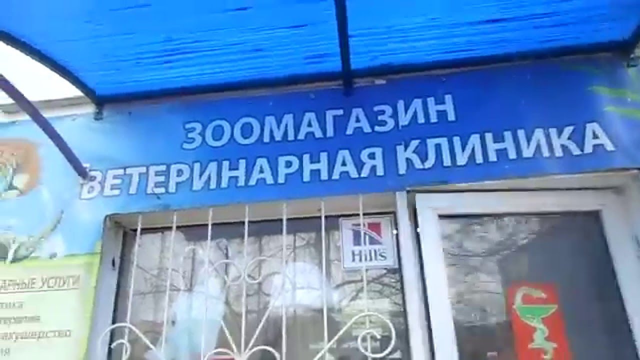 Зооком Севастополь Интернет Магазин