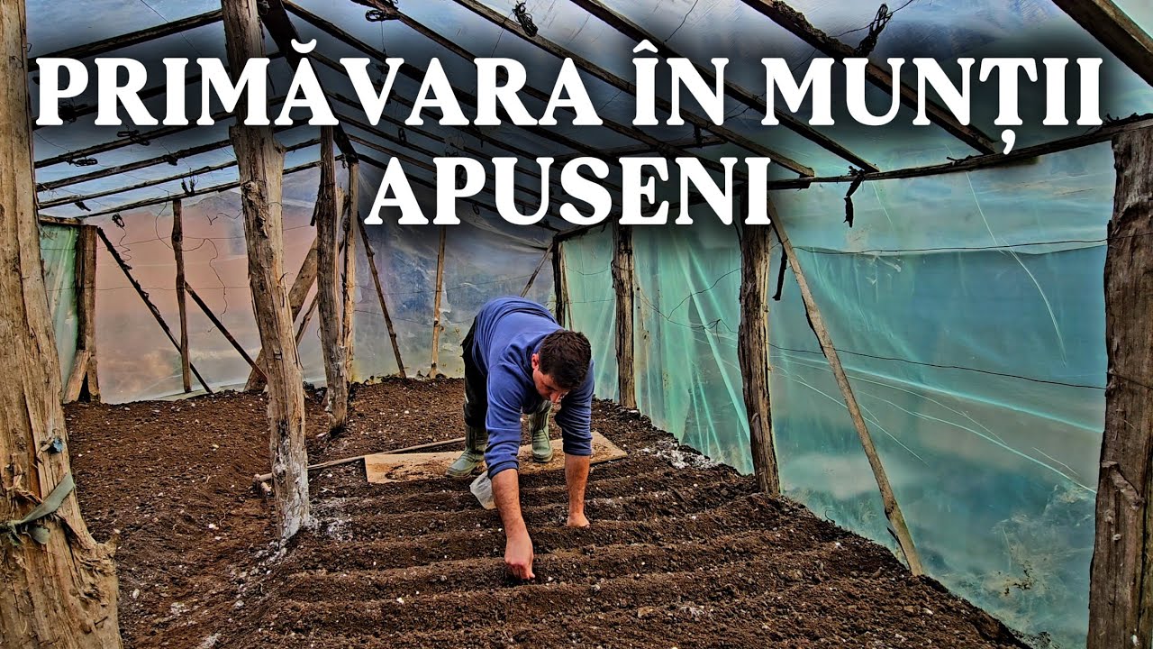 VIAȚA LA SAT ÎN MUNȚII APUSENI | SEMĂN PRIMUL SPANAC ÎN SOLAR 🌱