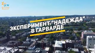 Эксперимент "надежда" в Гарварде. Чем отличается вера от надежды?