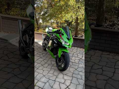 Ninja ZX4RR Cold
