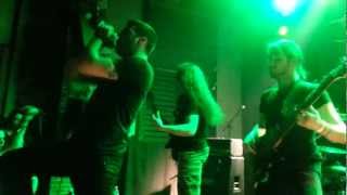 GOROD feat. Kariboo (Bass) - Elements of Spirit - Live at Violent Days Take 1