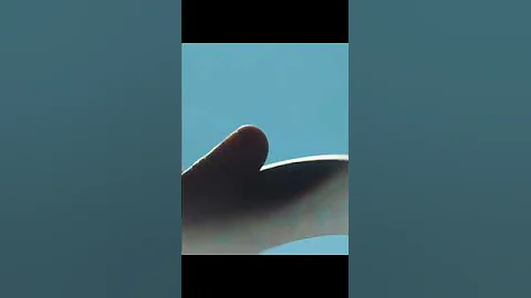 Priorities #viral #fitness #youtubeviral #gym #shorts