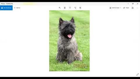 Edexcel ICT O level question paper 2016 paper 2 solution activity 1