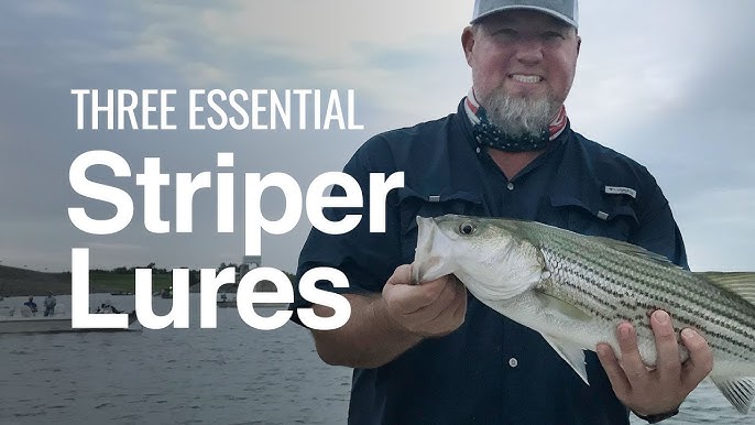 Trolling an Umbrella Rig for Striped Bass 